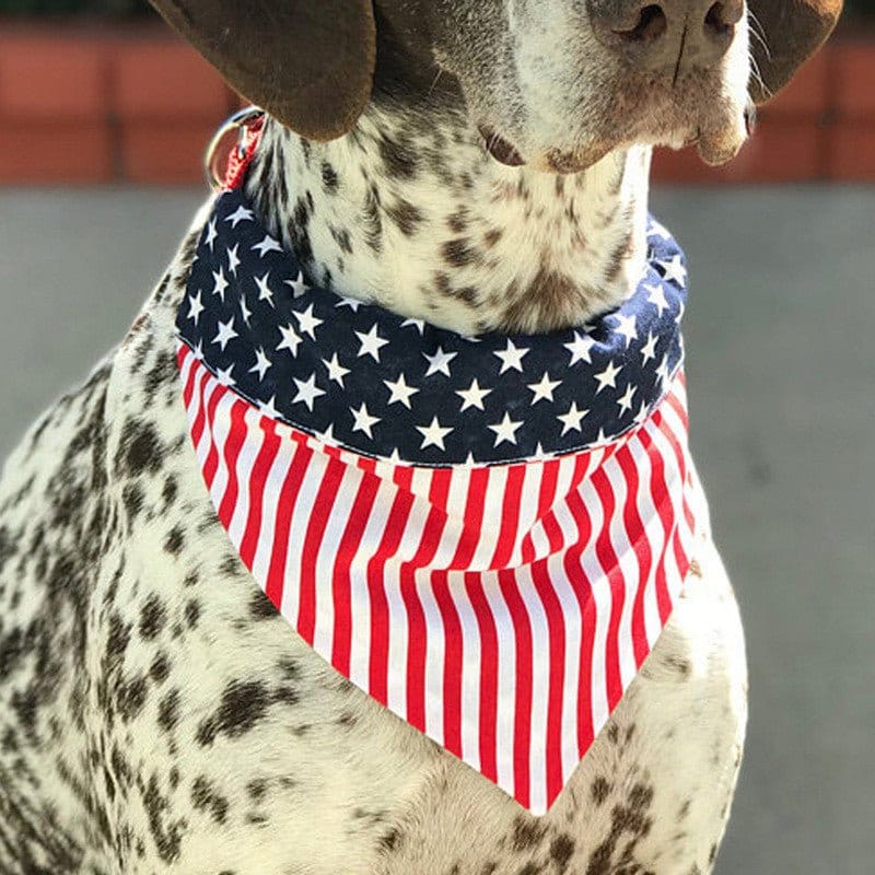 American Flag Pet Triangle Scarf Dog Saliva Towel | Silver Fox Sales