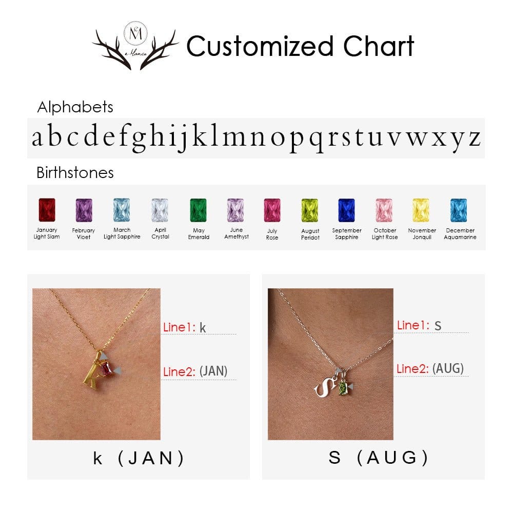 Letter Birthstone Luxury Necklace | Silver Fox Sales