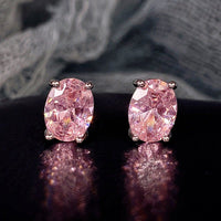 Women's Business-Style Zircon Earrings | Silver Fox Sales