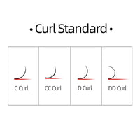 Curl standard chart displaying C Curl, CC Curl, D Curl, and DD Curl for individual eyelash extension lashes.