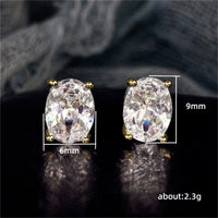 Women's Business-Style Zircon Earrings | Silver Fox Sales