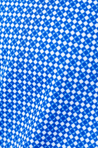 Swiss Check Long Sleeve Tech Shirt - Blue | Silver Fox Sales