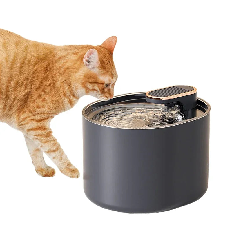 automatic pet drinking fountain with orange cat exploring water dispenser