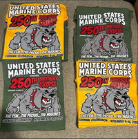 America 250 Years Freedom Dtf Heat Press Tansfer -Pw3910